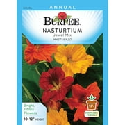 Burpee-Nasturtium, Jewel Mix Seed Packet