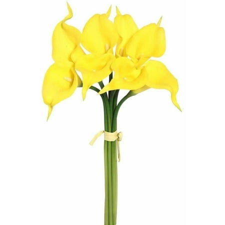 - Vickerman 14
