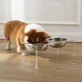 thumbnail image 6 of THE LICKER STORE Keaton 7.5" Medium/Large Modern Acrylic Rectangular Elevated Pet Feeder with 54oz 2-Stainless Steel Bowls, Clear/Chrome, DBL2001A, 6 of 8