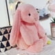 thumbnail image 3 of Embroidered Plush Bunny With Child'S Name HandMade Custom Plush Toy Child'S First Easter Gift, 3 of 5