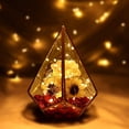thumbnail image 5 of Cadena de luces alimentadas por batería (paquete de 8) 2M 20 luces LED de cadena Alambre de cobre resistente al agua, (blanco cálido, viene con 6 baterías de repuesto) oso de fresa Hogar, 5 of 5