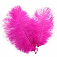 thumbnail image 2 of 12-14 inch (30-35cm) Natural Ostrich Feathers for Wedding Centerpieces Home Decoration,Flower Arrangement,DIY Christmas Decorations (Hot Pink), 2 of 4