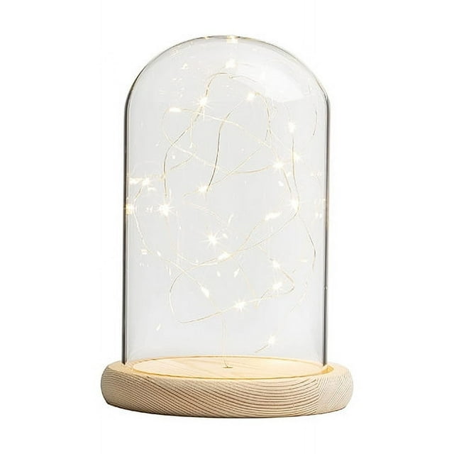 Guirnalda de luces LED con pilas, mini luces, decoración de mesa central, boda, fiesta, dormitorio, tarro de albañil, Navidad, blanco cálido