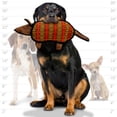 thumbnail image 5 of Tuffy's Desert Armadillo Plush Dog Toy, Multicolor, 5 of 6