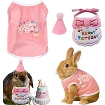 Rabbit Birthday Outfit Set with Hat and Bib, Mini Birthday Hats and Clothes for Small Pets Dog Cat Guinea Pig Ferret Hedgehog (Pink)