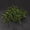 Dark green, variant on M Altemura Soft Rubber Fishing Lures for Lure Fishing, 20/50/100pcs Glow in Dark or Regular Realistic Earthworm Baits for Bass Bream, Soft Plastic Worm