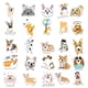 thumbnail image 4 of Pegatinas de perro de dibujos animados para botellas de agua, paquete de 50 pegatinas lindas, impermeables, estéticas y modernas para perros para adolescentes, niñas, perfectas para botella de agua, computadora portátil, teléfono, viaje Vinilo extra duradero ER, 4 of 6