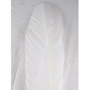 Turkey Feathers wing rounds dyed White per DOZEN