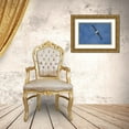 thumbnail image 3 of Jaynes Gallery 32x23 Gold Ornate Wood Framed with Double Matting Museum Art Print Titled - Antarctica-South Georgia Island-Elsehul Bay Grey-headed albatross soars on air currents, 3 of 4