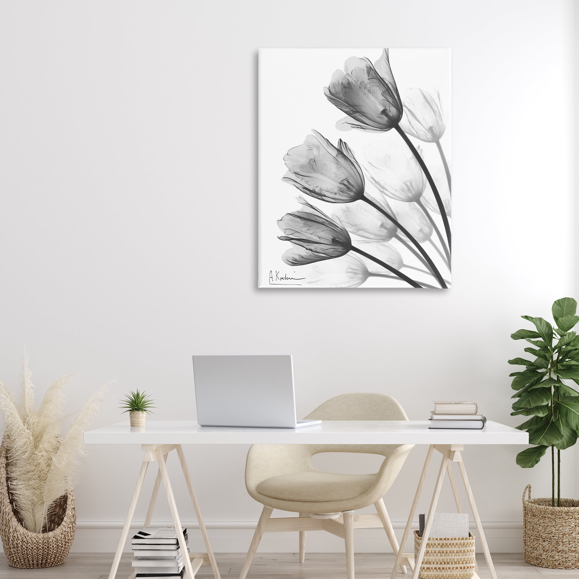 Stupell Industries Minimalist Tulip Fan Canvas Wall Art, design by Albert Koetsier