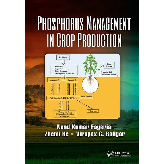 Phosphorus Management in Crop Production, (Paperback)