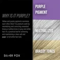 thumbnail image 5 of Godefroy Silver Fox Gray Enhancing Leave-In Conditioner 3oz, 5 of 6