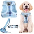 thumbnail image 1 of Juego de arnés, collar y correa para mascotas PUPTECK ajustable azul XS, 1 of 9