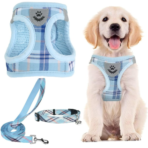 Juego de arnés, collar y correa para mascotas PUPTECK ajustable azul XS