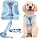 thumbnail image 1 of Juego de arnés, collar y correa para mascotas PUPTECK, ajustable, azul M, 1 of 7