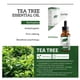 thumbnail image 4 of Firstsun 10ml aceite de árbol de té extracción de plantas hidratante eliminar el acné yeacher  Aceite de árbol de té, 4 of 7