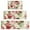 Pioneer Flower Floral-1, variant on Pioneer Flower Floral Print Pattern Kitchen Rugs Sets Of 3,Kitchen Runner Rugs Non Skid Washable,Decorative Kitchen Floor Mats for Kitchen,Sink,Laundry,17"x30"+ 17"x47" + 17"x59"