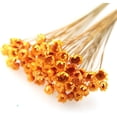 thumbnail image 2 of NOGIS 200 Stems Dried Flowers Brazilian Small Star Daisy Decorative Dried Flowers Colorful Natural Dry Flower Bouquet Mini Flower Bouquet Daisy Chamomile Flowers for DIY Home Wedding（Orange）, 2 of 7