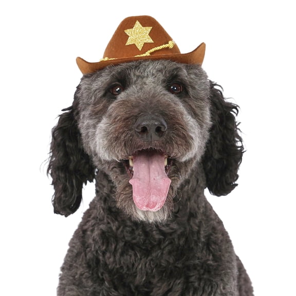 Vibrant Life Halloween Cowboy Hat Costume for Dogs, Brown, M/L