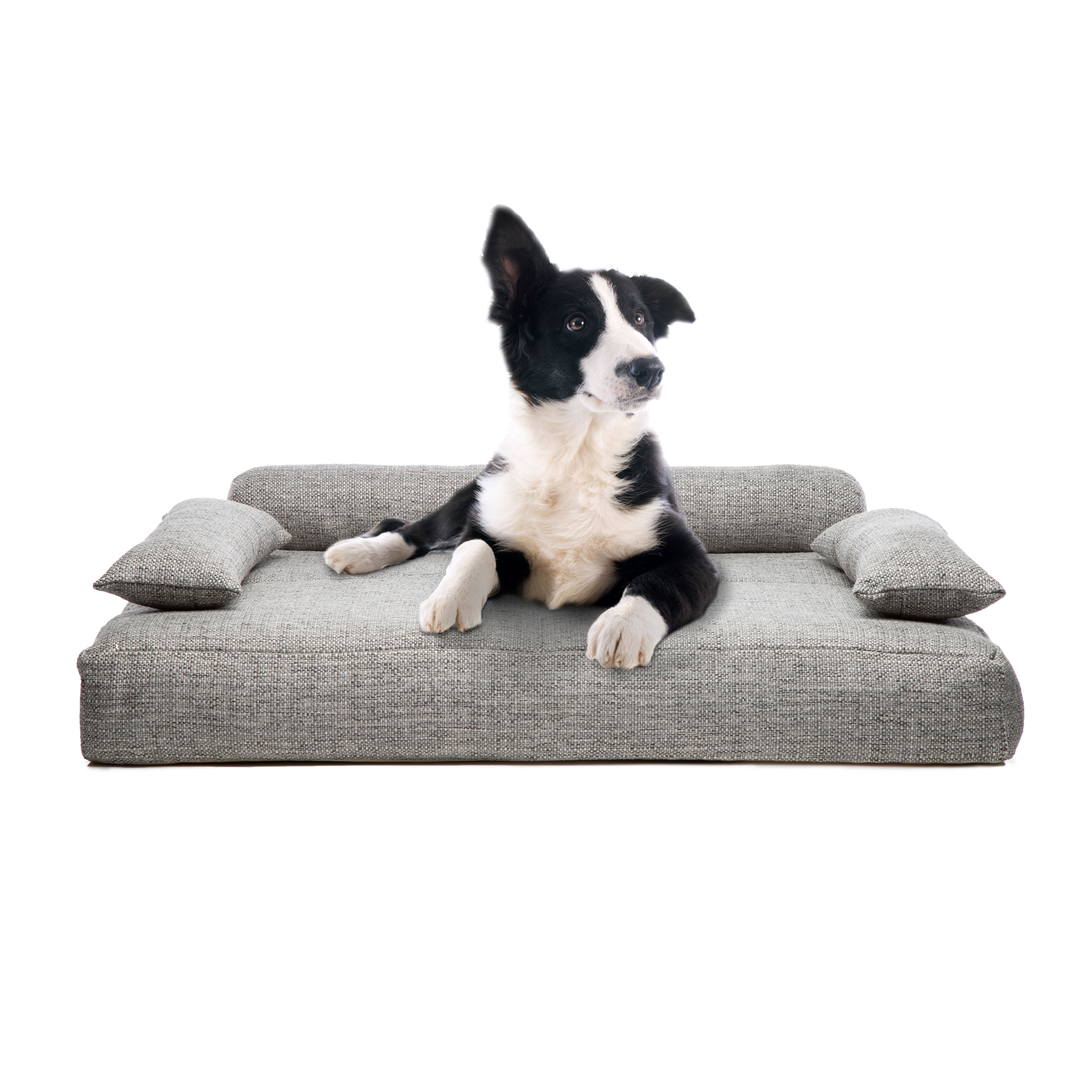 large grey dog bed