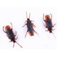 thumbnail image 2 of 10 unidades de broma cucarachas, truco favorito, juguetes de broma, parecen reales, cucarachas de plástico realistas y novedosas para fiestas, 2 of 8