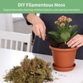 thumbnail image 4 of DIY Filamentous Moss, 2.2 lbs Dried Moss with Realistic Texture, Decorative Landscaping Material for Planting, Terrariums, Vivariums, and Garden Decoration, 4 of 6