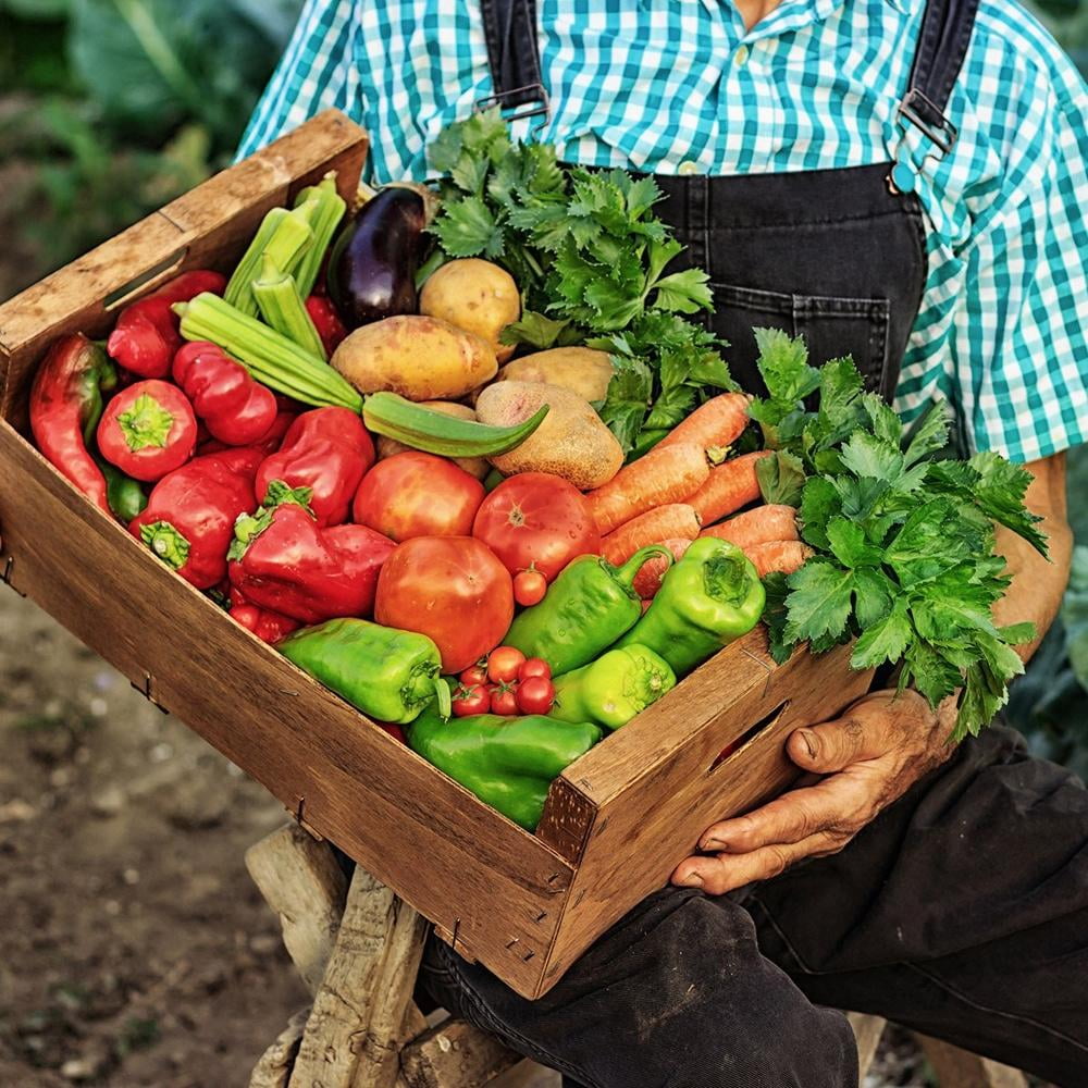 The Old Farmer's Almanac Organic Tomato & Vegetable Plant Food (Case of 8 Bags)
