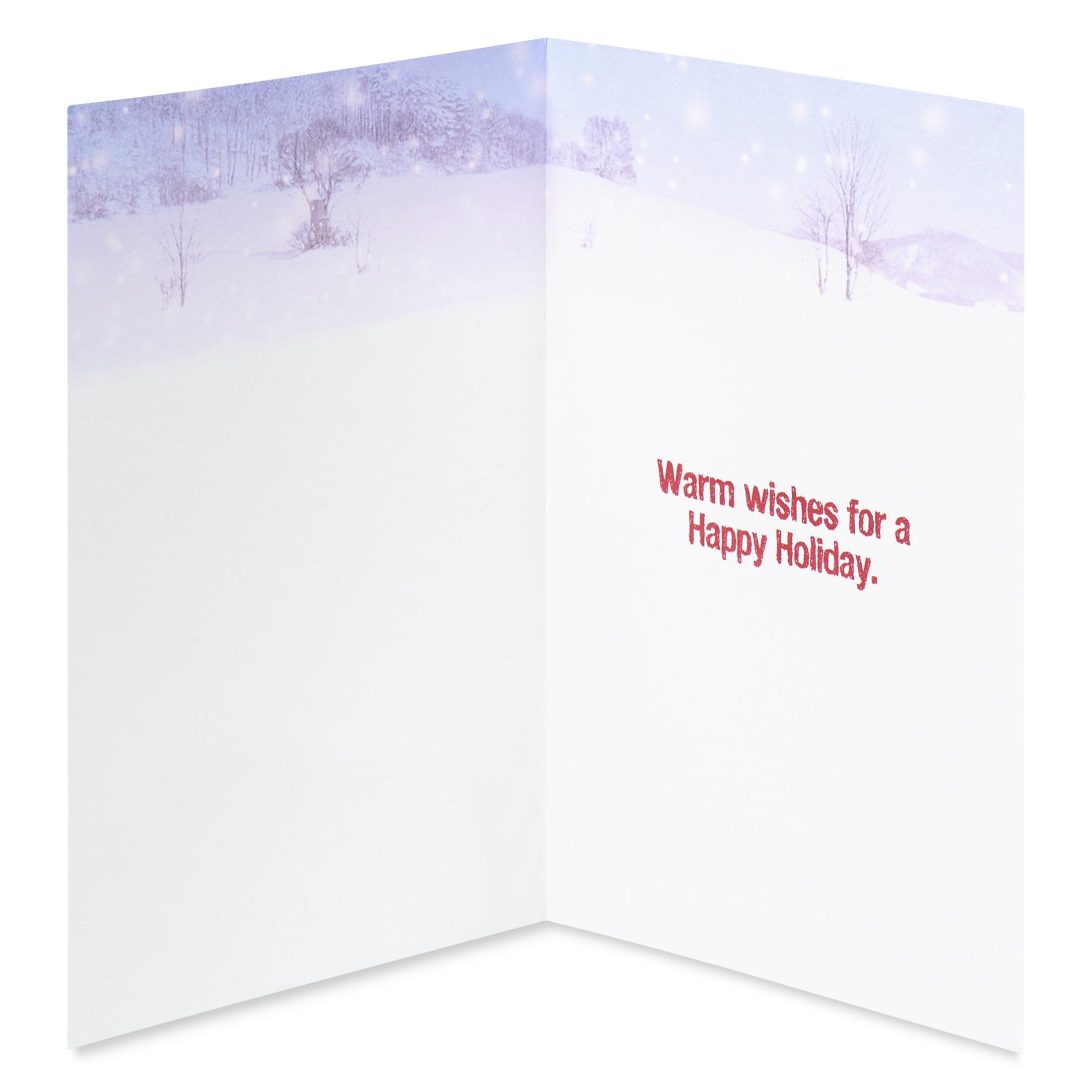 American Greetings Funny Christmas Greeting Card for Anyone, (Warm Wishes)