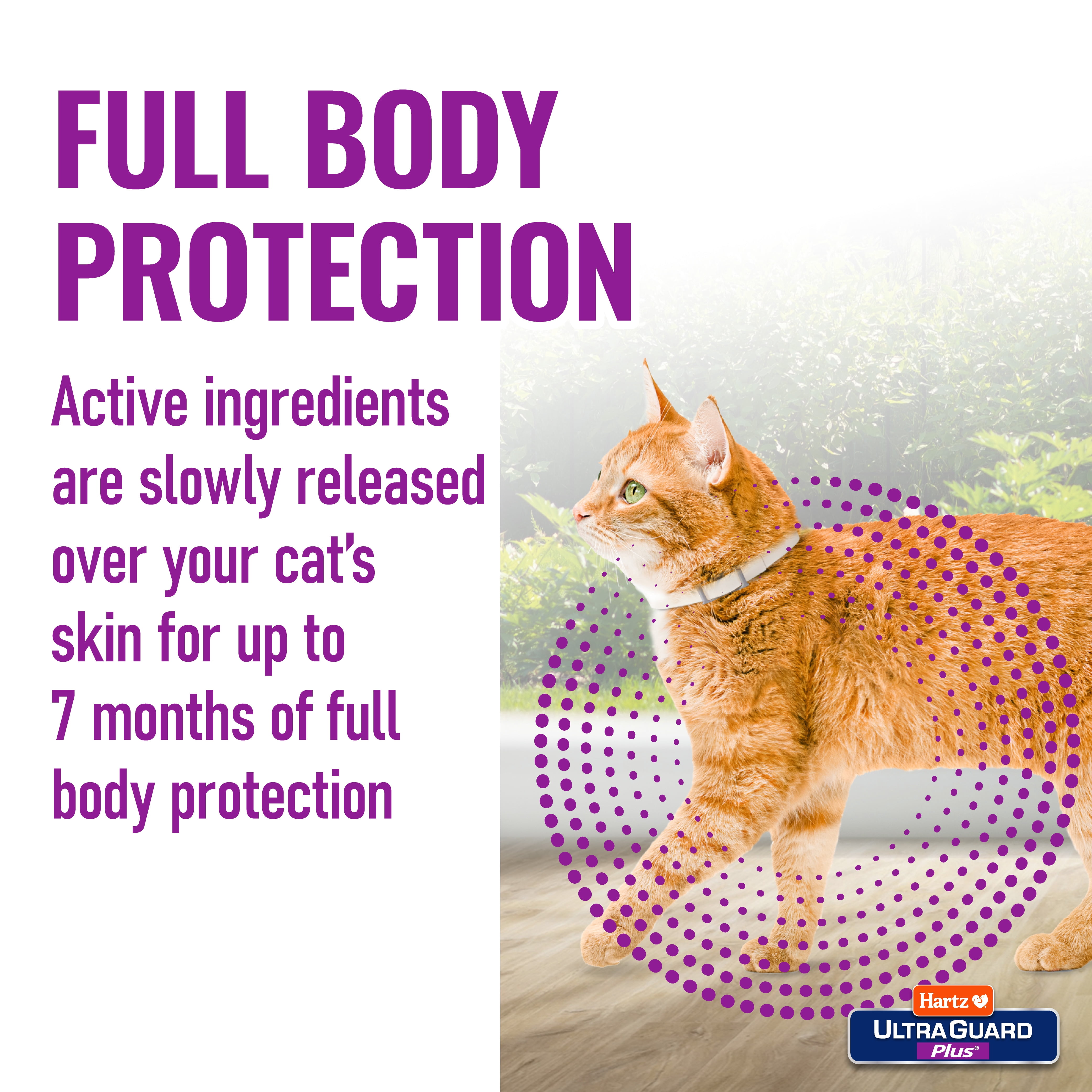 Hartz UltraGuard Plus Flea & Tick Collar for Cats and Kittens, 7 Months Protection, 1ct