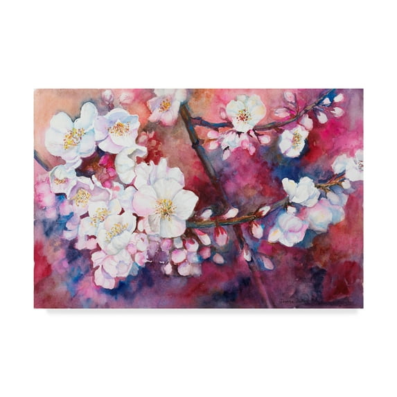 Trademark Fine Art 'Cherry Blossoms' Canvas Art by Joanne Porter