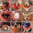 thumbnail image 2 of Dog Inflatable Collar Washable Cute Donut Design Protective Recovery Collar For Dog Adjustable Pet Recovery Cone After Surgery, 2 of 4