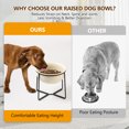 thumbnail image 7 of Elevated Large Dog Food Bowls - Raised Dog Bowl with Non Slip Stand - Heavy Weighted Ceramic Dog Feeding Bowl - Extra Wide Deep Dog Water Bowl - Pet Dishes for Medium to Big Dogs - 54 oz - 7 cups, 7 of 7