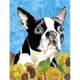thumbnail image 1 of Carolines Treasures SC9063GF Boston Terrier Drapeau Jardin Taille, 1 of 3