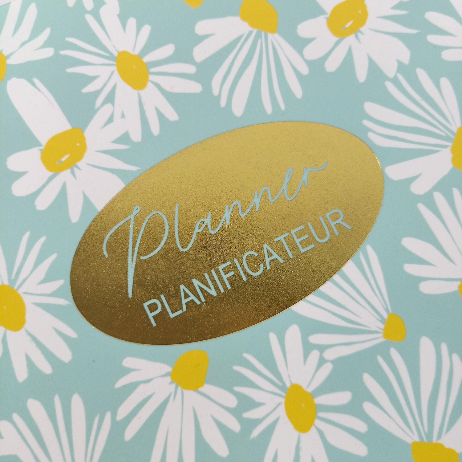 12 MONTH DAILY PLANNER, PLANNER WITH 12 MONTHS