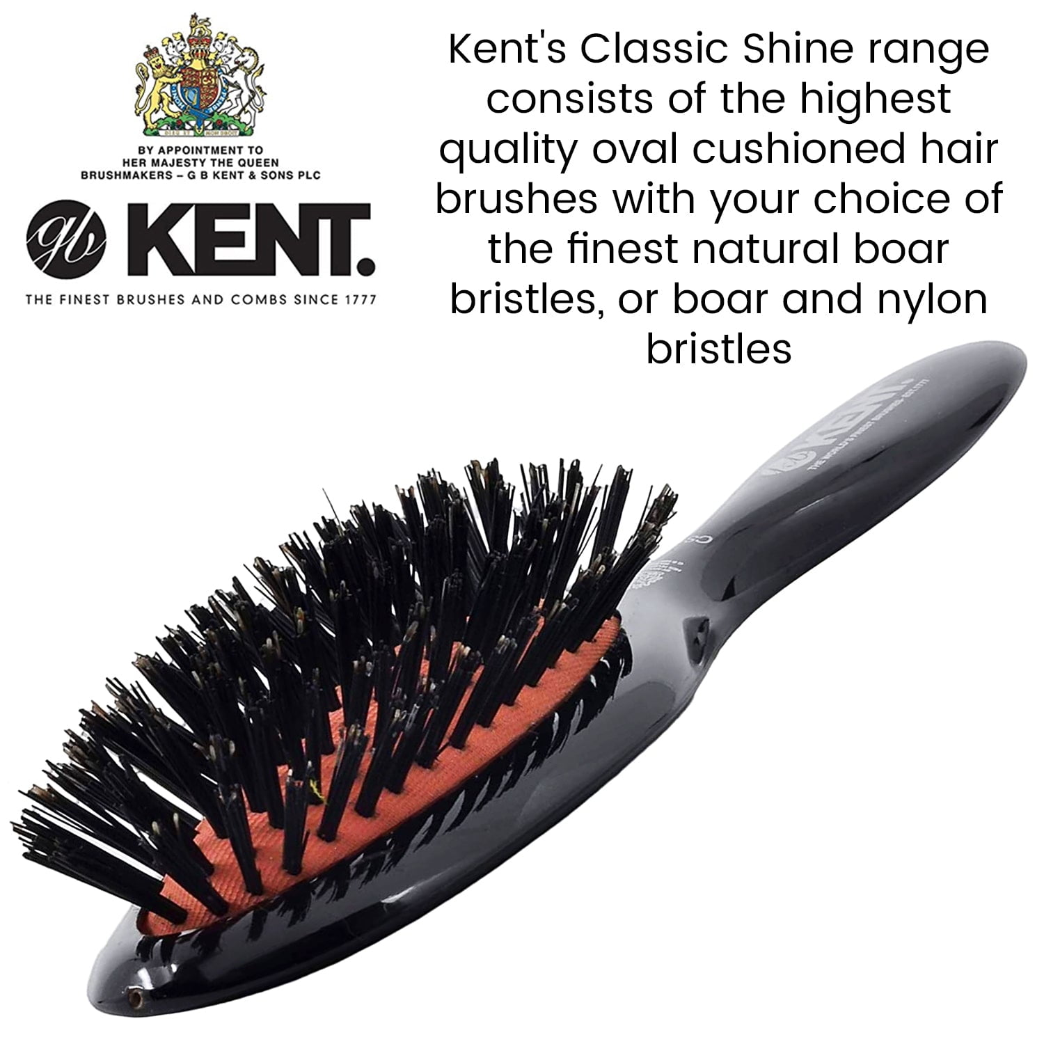 Executive Shine Brush - Dark Bristles