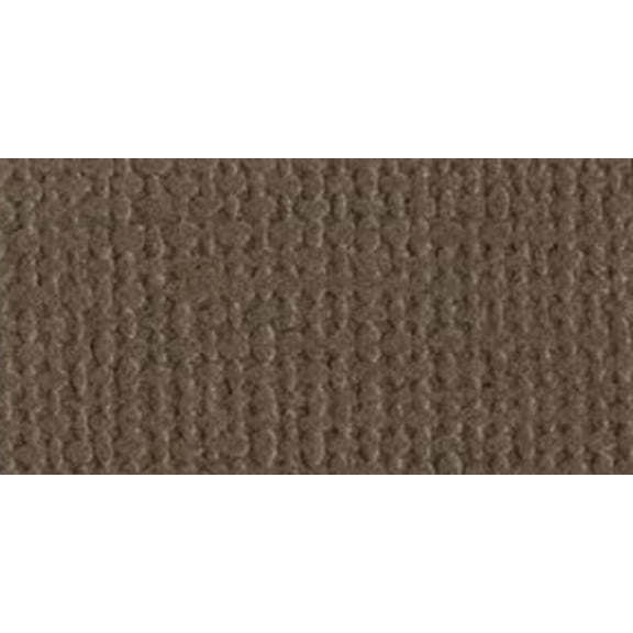 Bazzill Mono Cardstock 12"X12"-Bark/Canvas