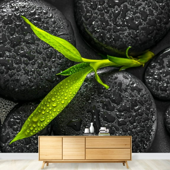 wall26 - Top Down Closeup Beautiful Spa Composition of Green Branch Bamboo on Zen Basalt Stones - Removable Wall Mural | Self-Adhesive Large Wallpaper - 66x96 inches