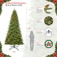 thumbnail image 4 of CC Christmas Decor Pre-lit Artificial Berkshire Fir Medium Christmas Tree - 12’ - Clear Lights, 4 of 5