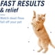 thumbnail image 3 of Tratamiento Oral de Pulgas para Gatos, Comprimidos de Acción Rápida Comienza a Matar Pulgas en 30 Minutos, Gatos 2-25 libras, 6 Dosis, 3 of 5
