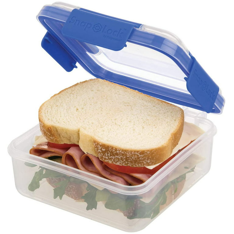 Large Sandwich Container