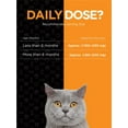 thumbnail image 3 of L-Lysine Powder For Cats 500mg | 12oz | Cat Health Supplement | by River & Rula, 3 of 6