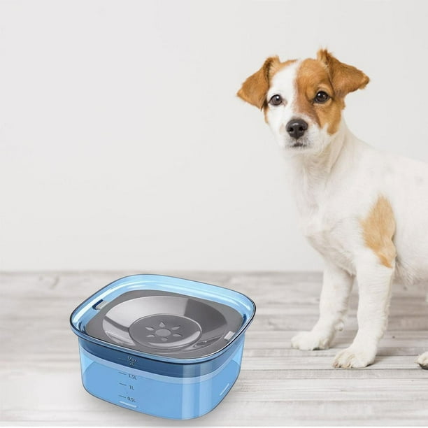 Dog water bowl with lid hot sale