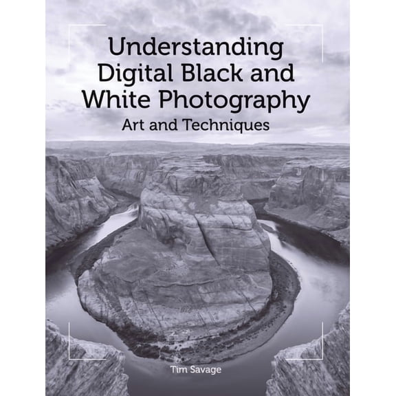 Understanding Digital Black and White Photography : Art and Techniques (Paperback)
