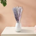 thumbnail image 4 of Arreglo de hierba seca artificial perfecl para jarrón decoración 15 piezas, 4 of 7