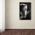 thumbnail image 3 of Trademark Fine Art 'Horse with Winter Coat' Canvas Art by Thom Sivo, 3 of 3