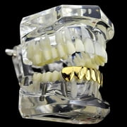 14K Gold Plated Grillz Lower Bottom Plain Teeth Grills