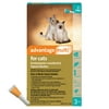 Advantage Multi Topical Solution for Cats, 2-5 lbs (Turquoise Box), 3 monthly treatments