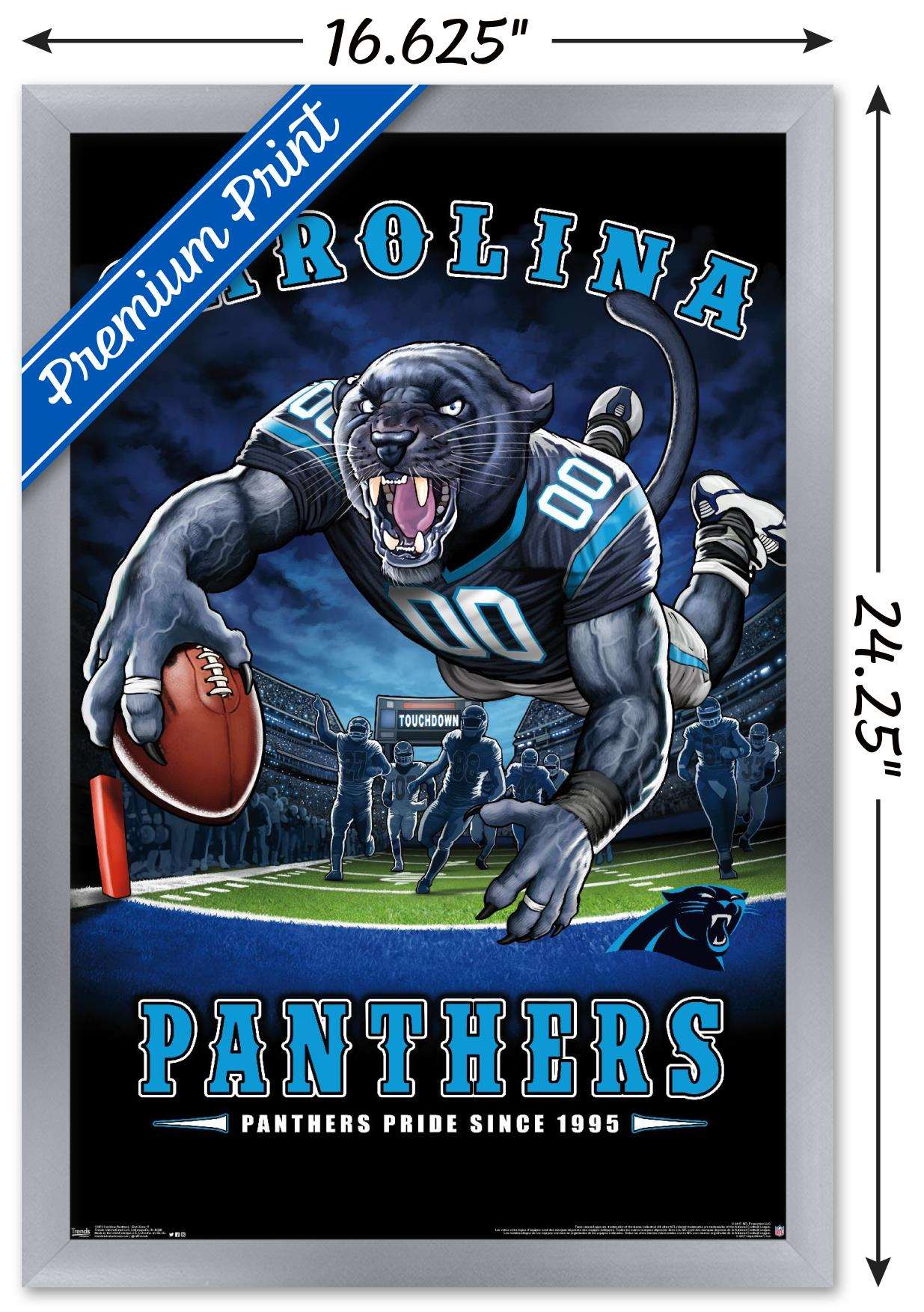 NFL Carolina Panthers - End Zone 17 Wall Poster, 14.725" x 22.375", Framed