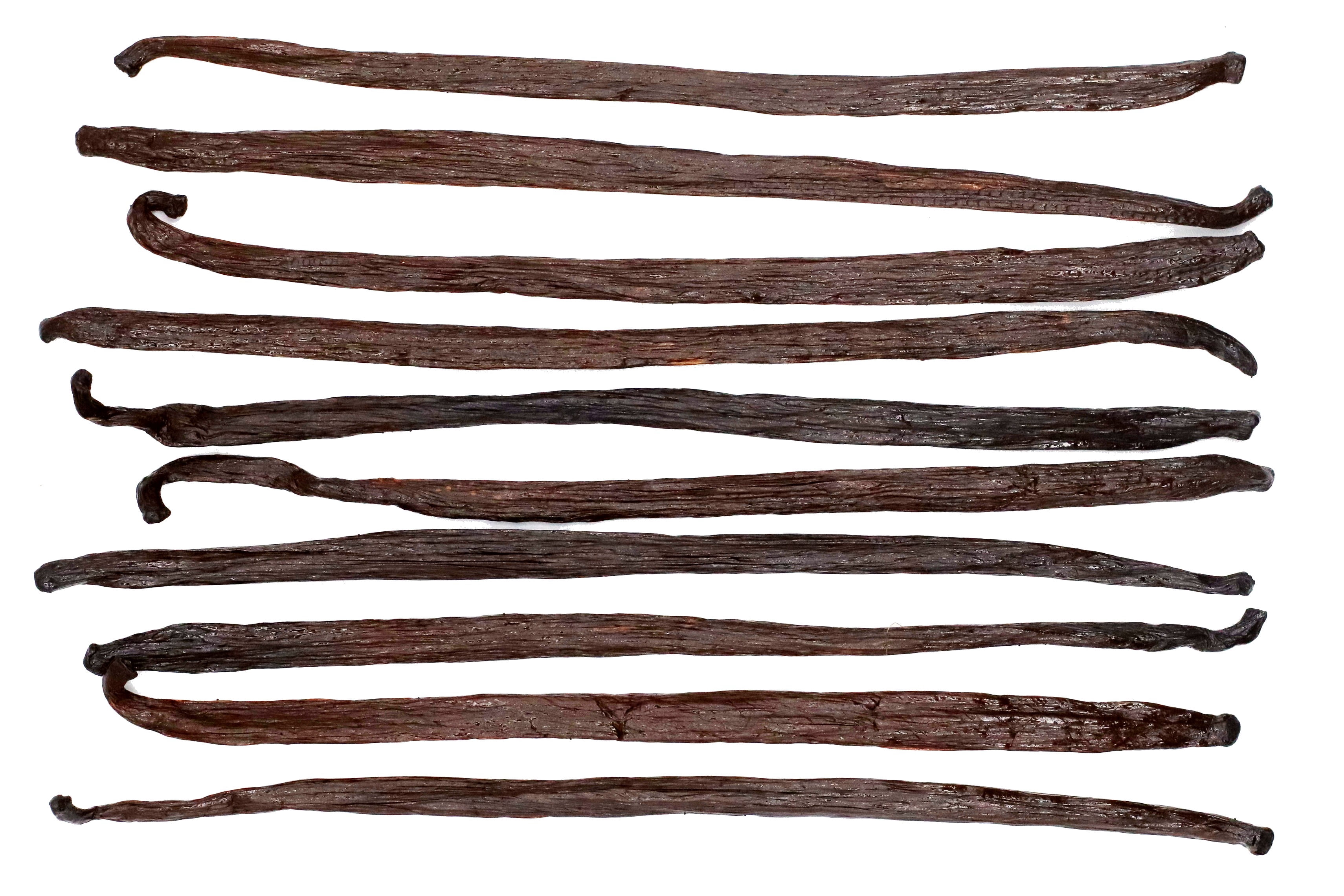 10 Extract Grade Mexican Vanilla Beans - Voladores Vanilla