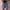 Blue A, variant on OKBOP Bermuda Shorts for Women Blue Wide-Leg Relaxed Fit Casual Ripped Jeans Shorts